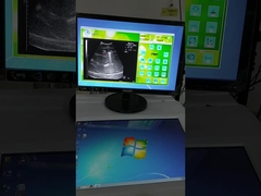 Source d'onde fixe Système de localisation par ultrasons